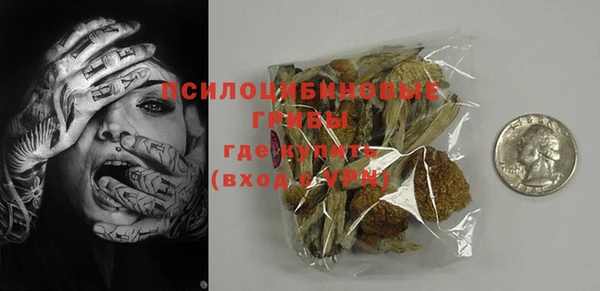 ГАЛЛЮЦИНОГЕННЫЕ ГРИБЫ Верхнеуральск