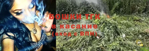 ГАЛЛЮЦИНОГЕННЫЕ ГРИБЫ Верхнеуральск