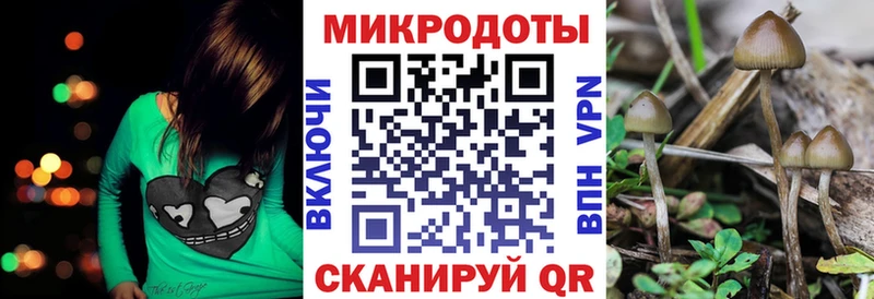 наркота  Афипский  Галлюциногенные грибы ЛСД 